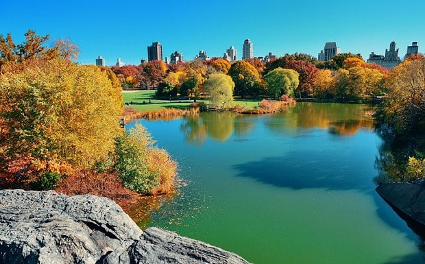 New York's Central Park in 