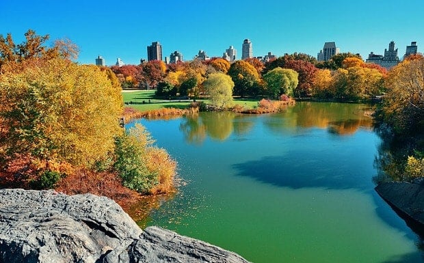 New York's Central Park in 