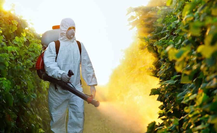 agriculture-pesticide-900