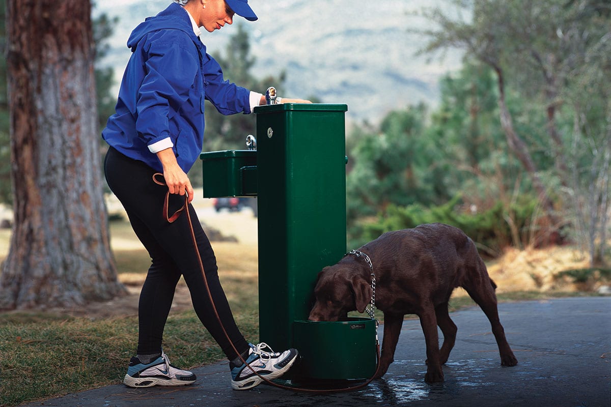 Barrier Free Fountain w/ Pet Bowl